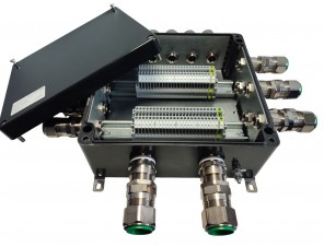 СКП-06.252612-Ехе-(48/2,5)-(2/2,5)-5(A)/20E1FX1RA5-2(B)/25E1FX1RA5-4(C)/20E1FX1RA5-5(D)/20E1FX1RA5-ПЗ